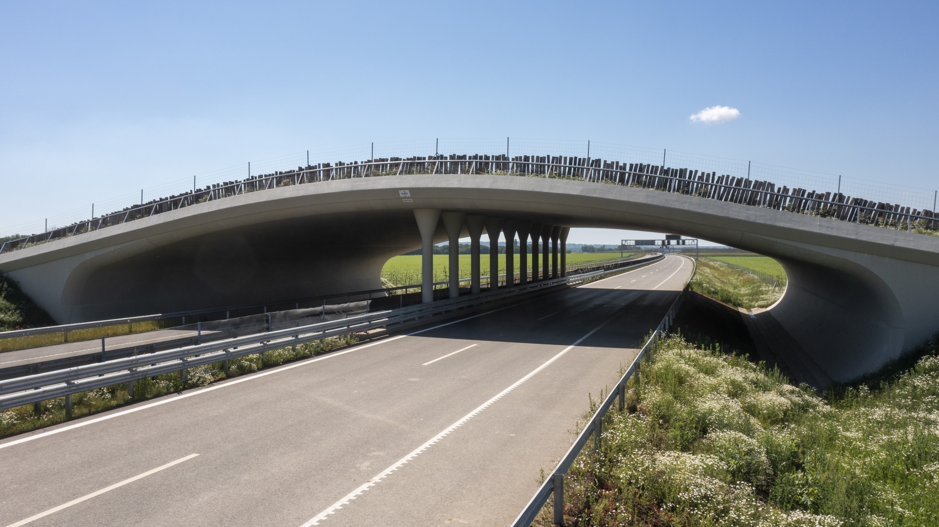Wildlife crossing over M6 motorway